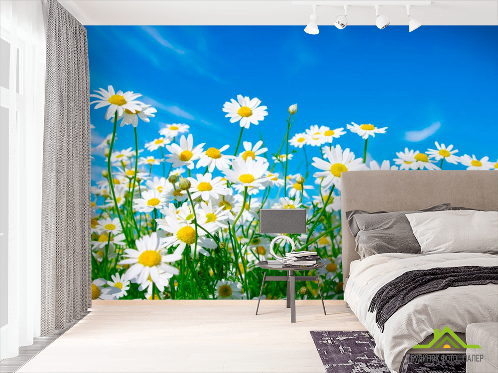 Фотошпалери Ромашки в полі
