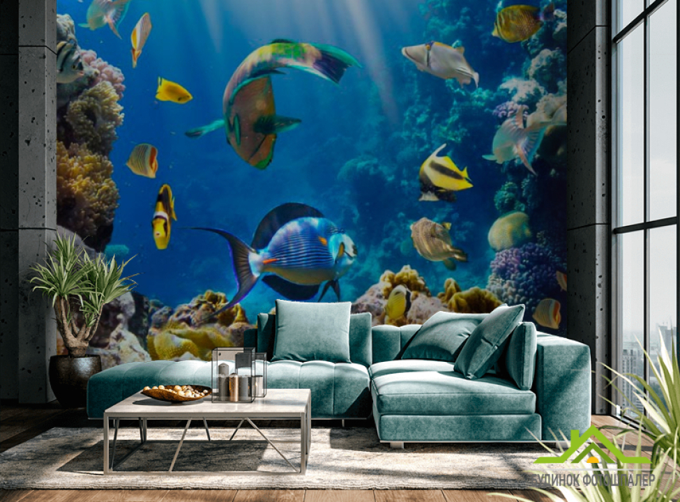 выбрать Фотошпалери Рибки на морському дні Фотошпалери Риби і море на стіну