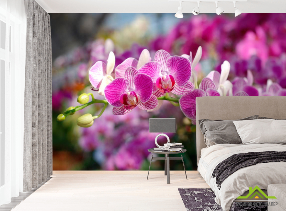 выбрать Фотообои Розовые орхидеи цветут Фотообои Орхидеи на стену