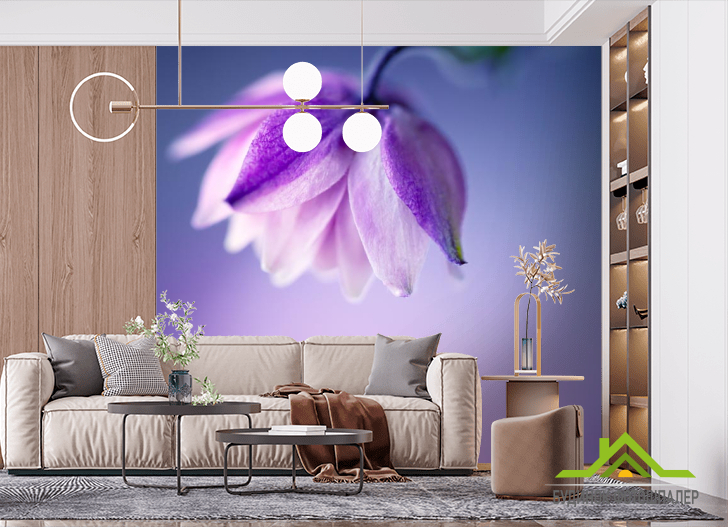 Фотообои сиреневый цветочек на сиреневом фоне