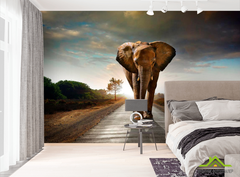 выбрать Фотошпалери Слон на дорозі Фотошпалери Слони на стіну