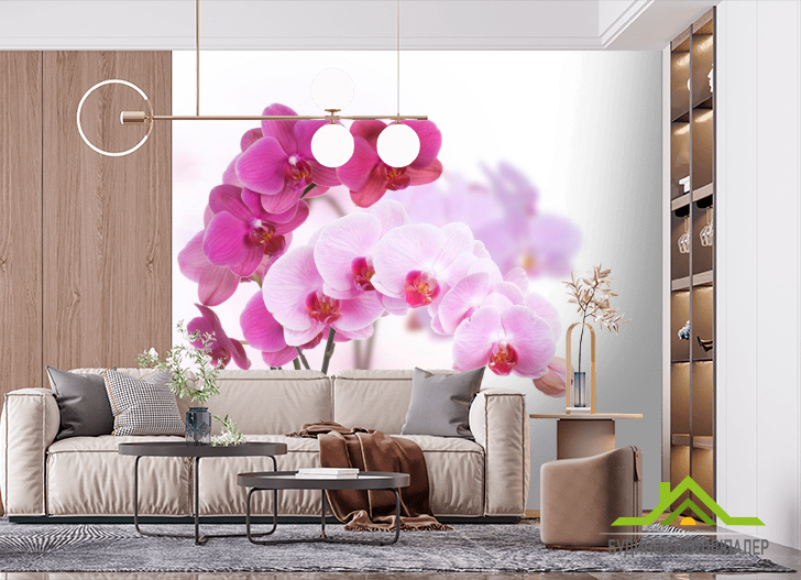 Фотошпалери Білі і рожеві орхідеї