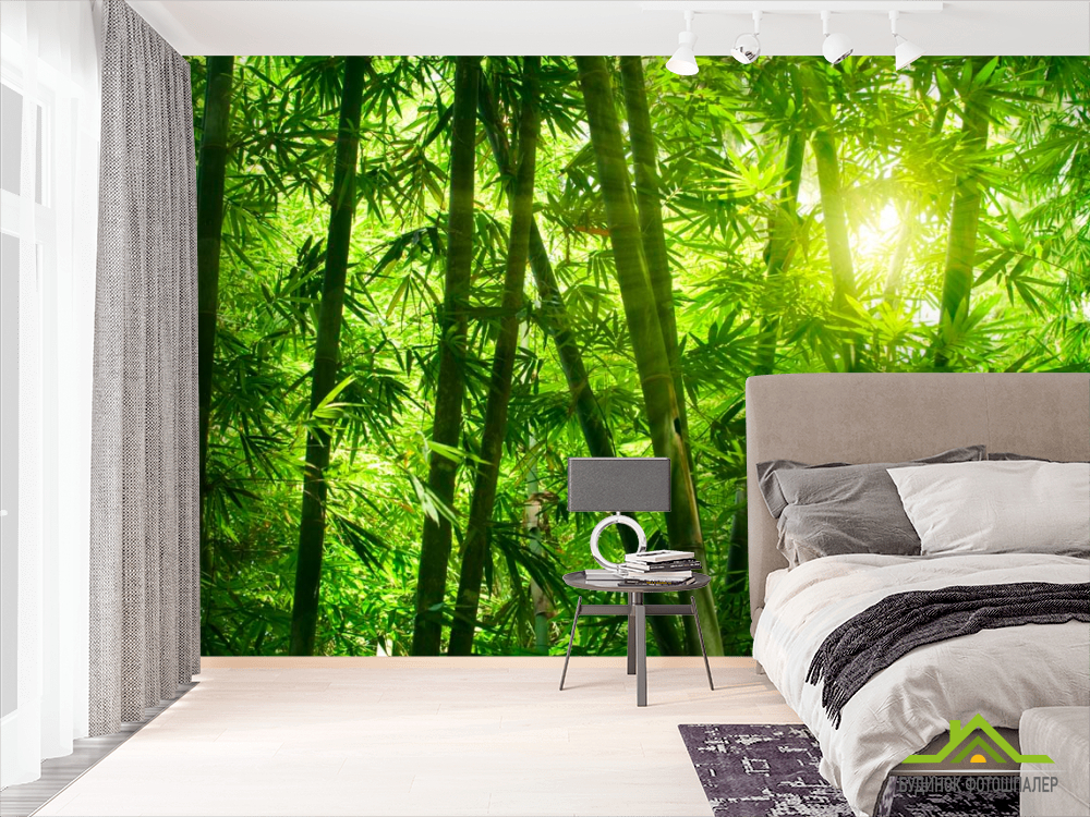 Фотошпалери Тропічна зелень
