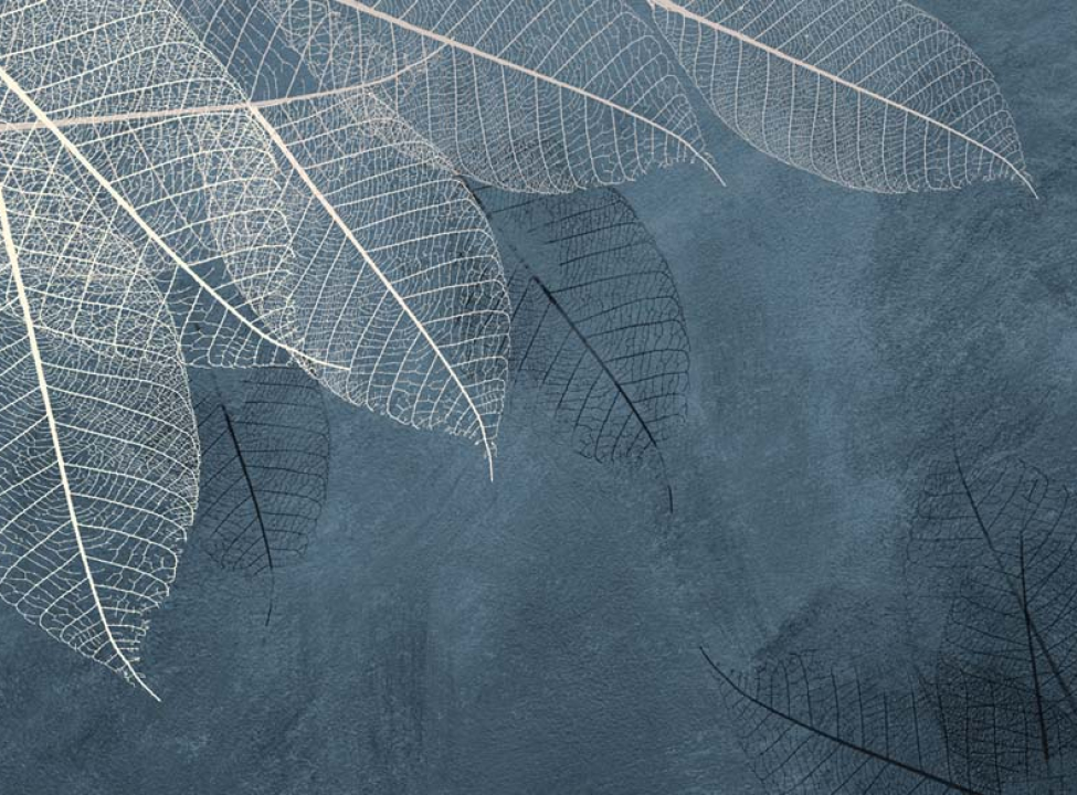 выбрать Фотошпалери Листя зі стелі Фотообої по стилю на стіну