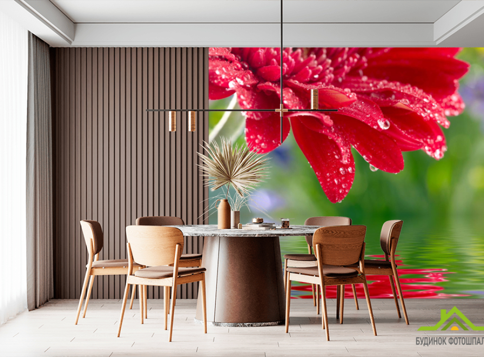 выбрать Фотошпалери червоний квітка над водою Фотошпалери Квіти на стіну