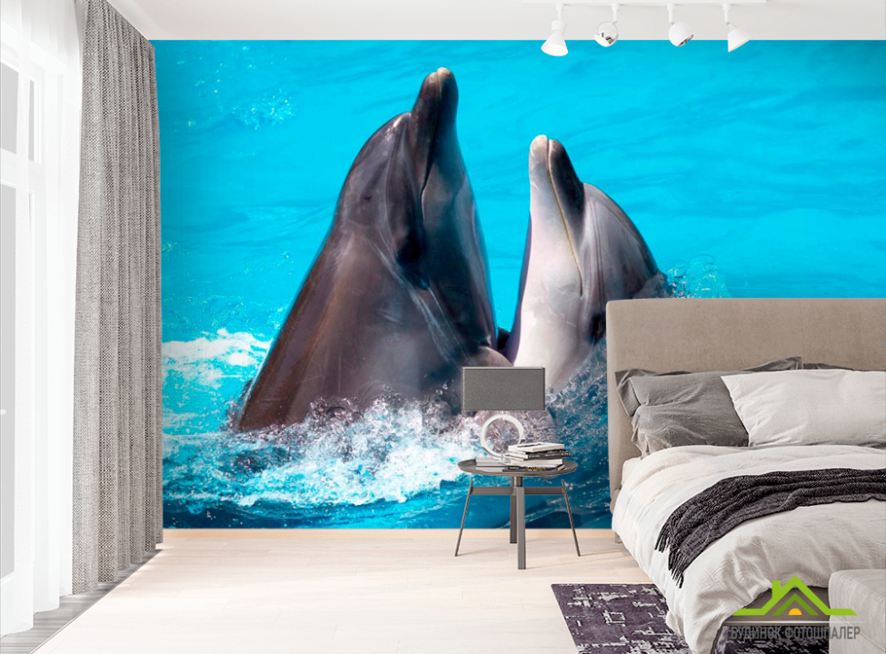 выбрать Фотообои Два дельфина Фотообои Дельфины на стену