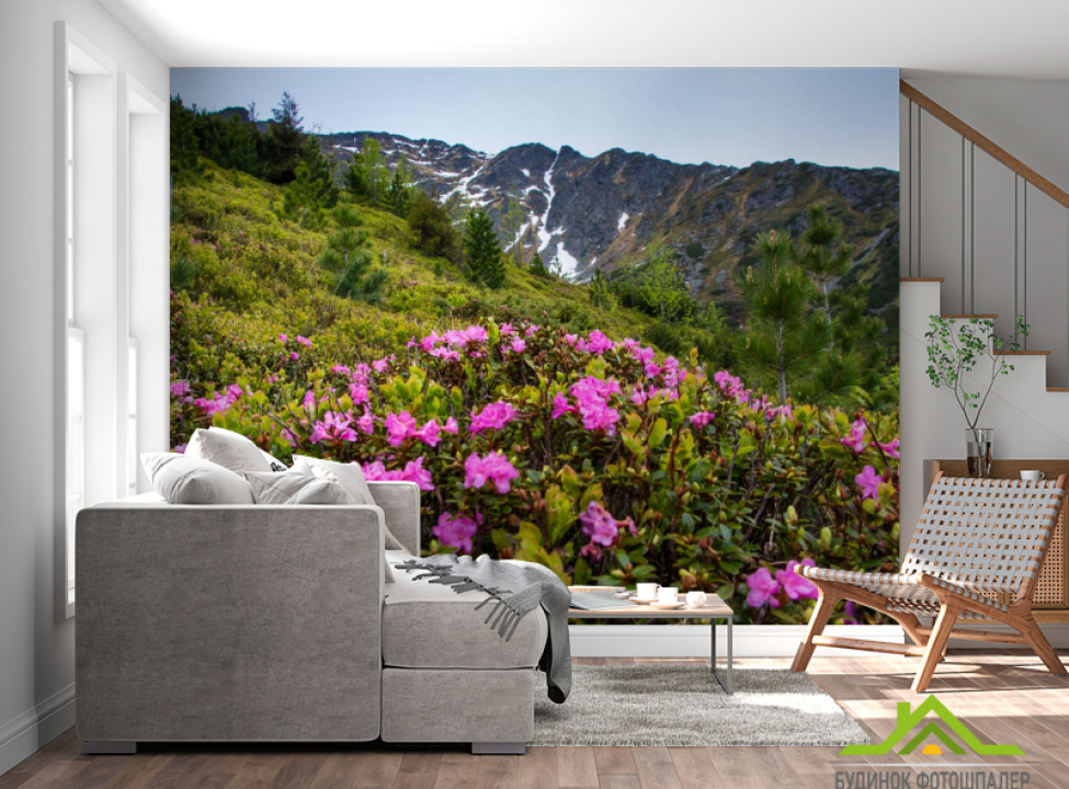 выбрать Фотошпалери квіти на галявині в горах Фотошпалери Природа на стіну