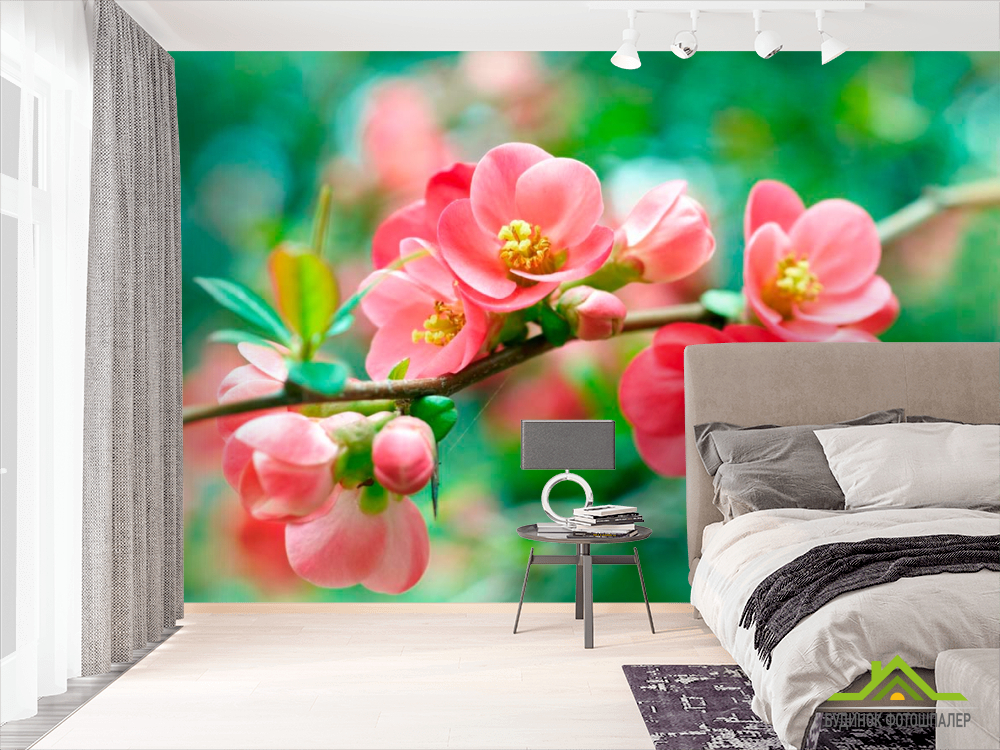 Фотообои Имбирь коралловый