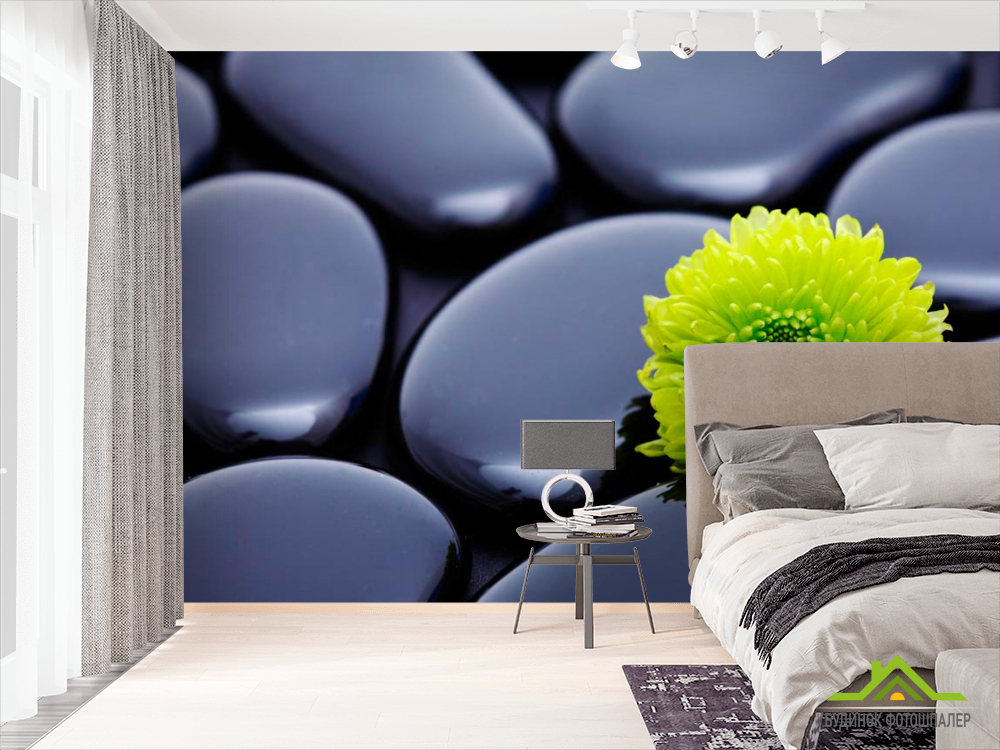 Фотообои Цветок и камни