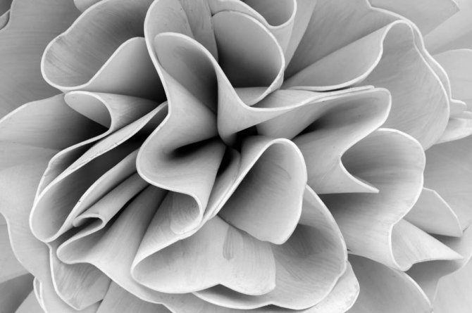 Фотошпалери сіра абстрація