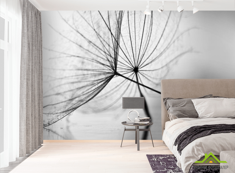 выбрать Фотообои семена одуванчика Фотообои Одуванчики на стену