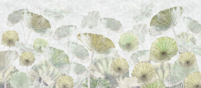 Фотообои Листья лотоса туманные