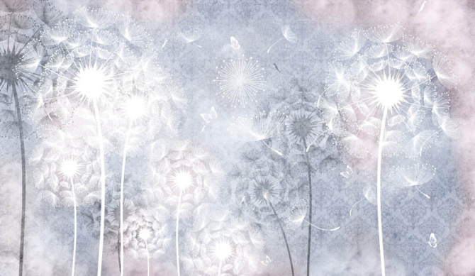 Фотошпалери векторні кульбаби