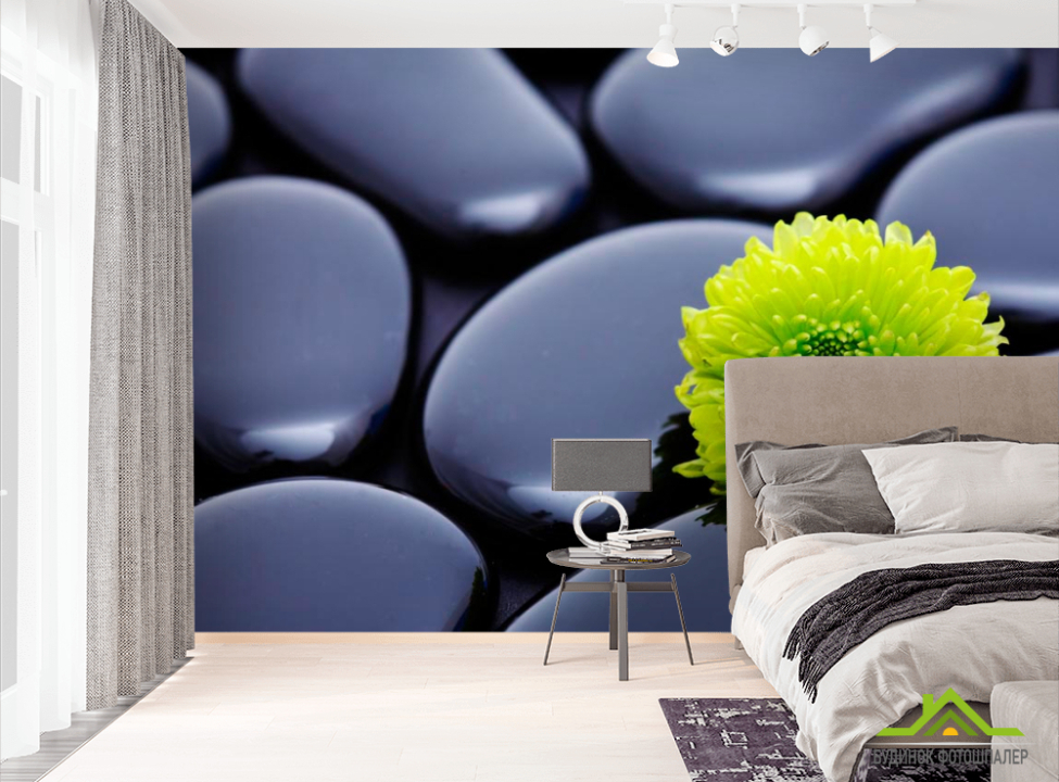 выбрать Фотообои Цветок и камни  на стену