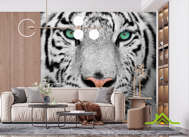Фотошпалери Красень тигр