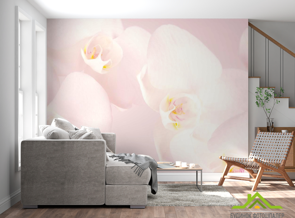 выбрать Фотообои Орхидеи распустились Фотообои Орхидеи на стену