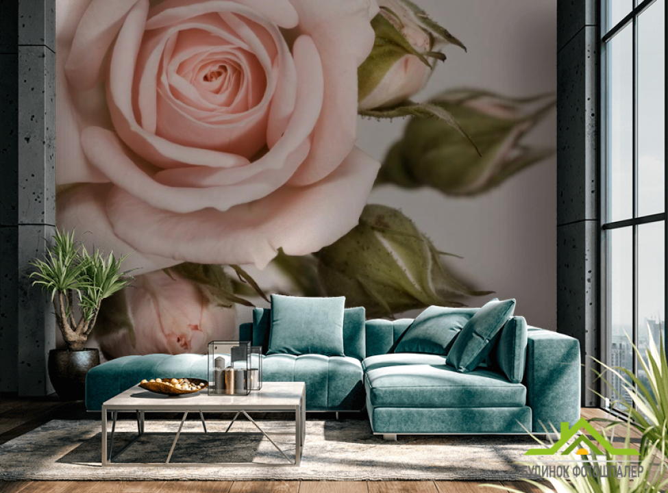 выбрать Фотошпалери Кремові троянди і бутони Фотошпалери Троянди на стіну