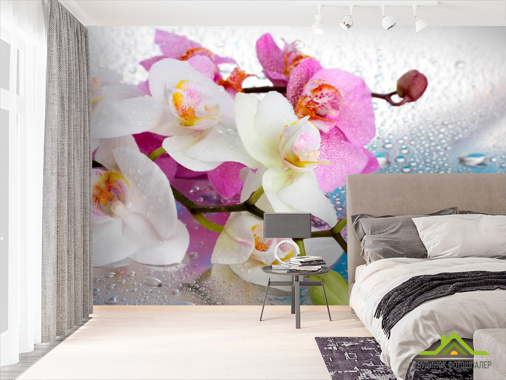 Фотошпалери Орхідеї малинові і білі