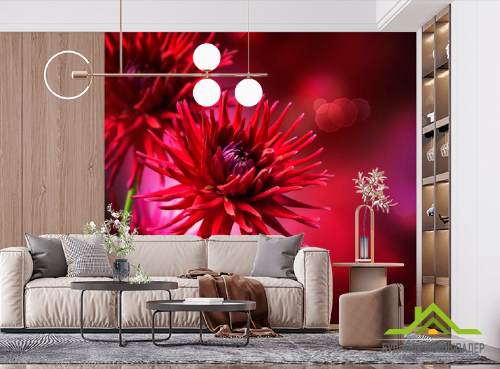 выбрать Фотошпалери Червоні айстри Фотошпалери Квіти на стіну