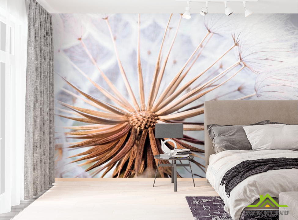 выбрать Фотообои Одуванчик Фотообои Одуванчики на стену
