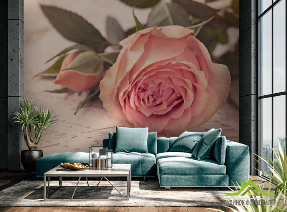 выбрать Фотошпалери Кремові троянди, папір Фотошпалери Троянди на стіну