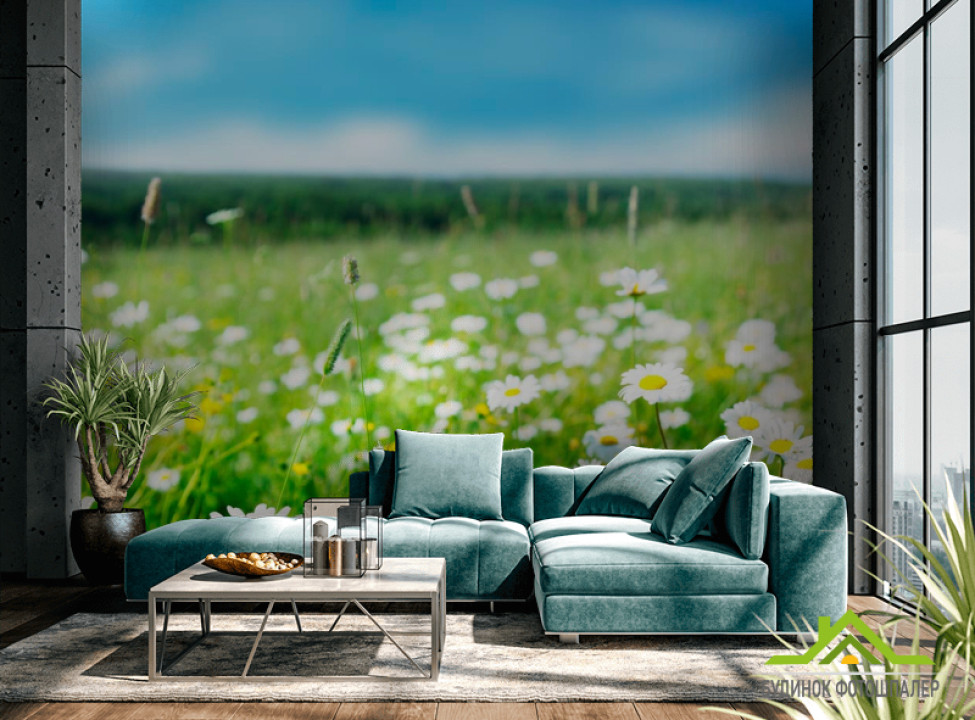 выбрать Фотообои Степные белоснежные ромашки Фотообои Ромашки на стену