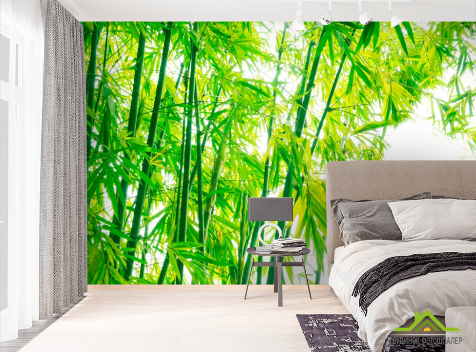 выбрать Фотообои Детки, бамбук Фотообои лес на стену