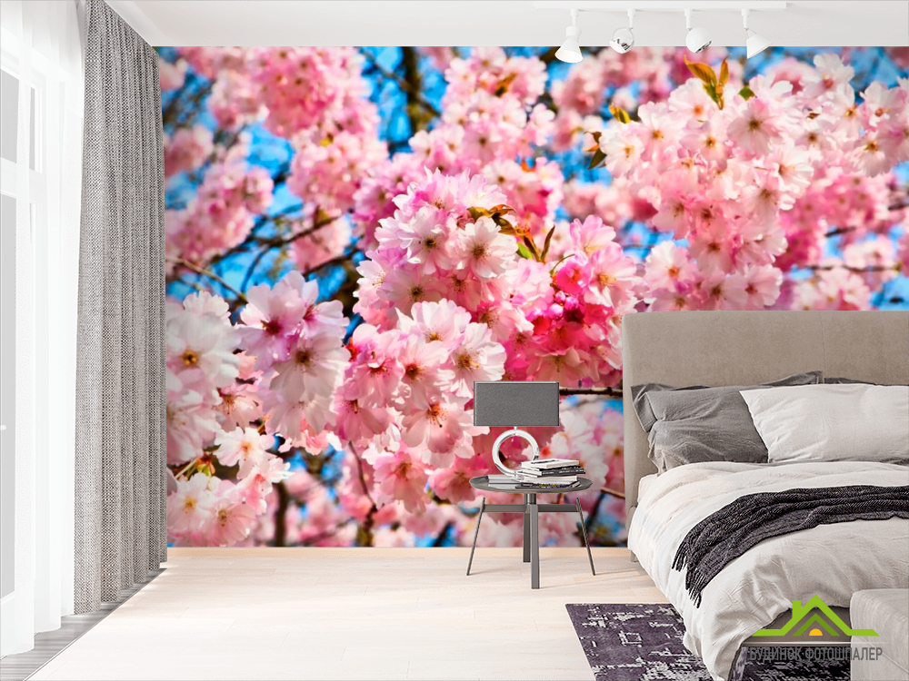Фотошпалери Цвітіння рожевого дерева