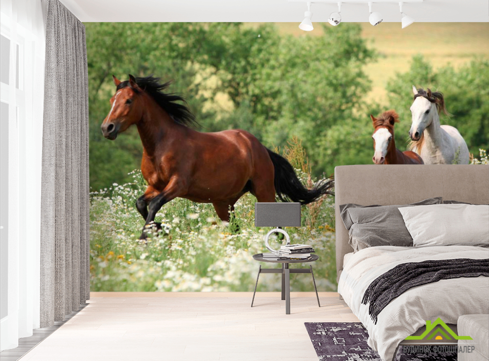 выбрать Фотообои Лошади на лугу Фотообои Лошади на стену