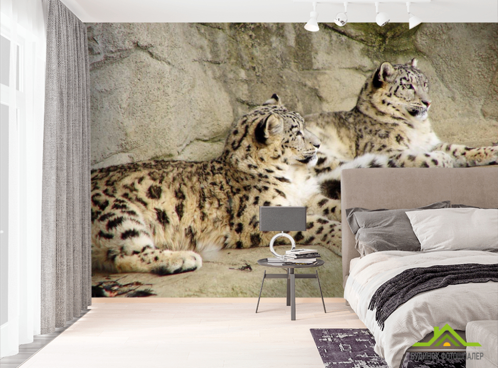 выбрать Фотообои Снежные барсы на стену