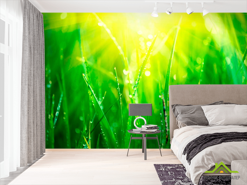 Фотообои На траве роса