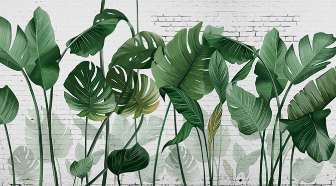 Фотошпалери стіна і тропічні листя
