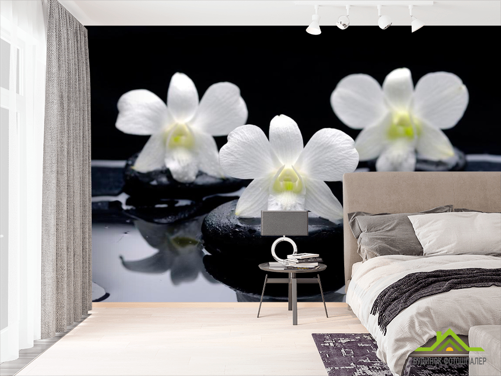 Фотообои Белые орхидеи на камнях