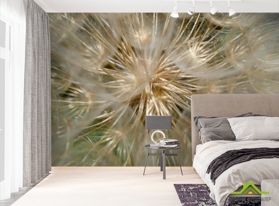 выбрать Фотообои Макро-одуванчик Фотообои Одуванчики на стену