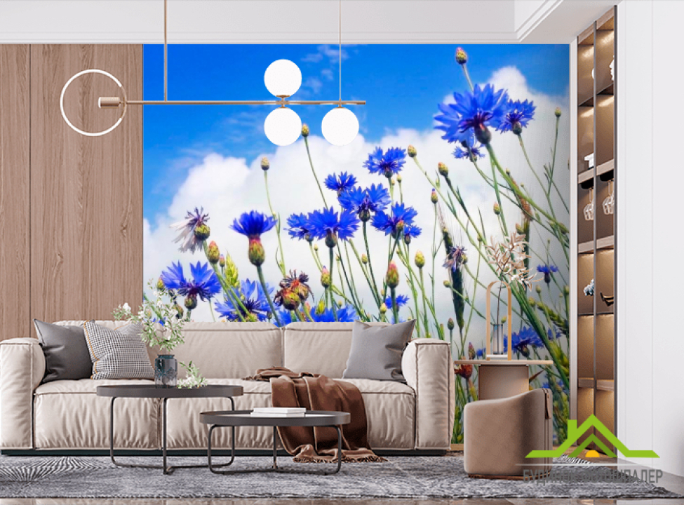 выбрать Фотообои Поле васильков Фотообои Цветы на стену
