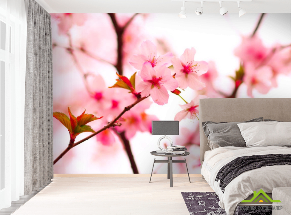 выбрать Фотошпалери Квіти вишні навесні Фотошпалери Вишня на стіну