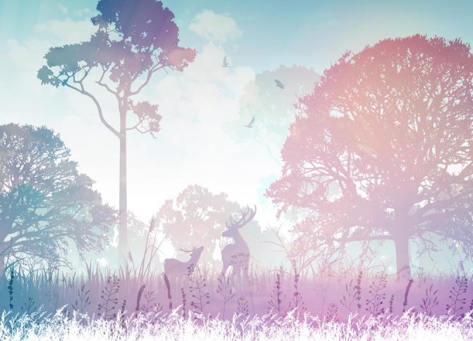 Фотообои Саванна