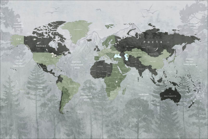 Фотообои Карта с лесом