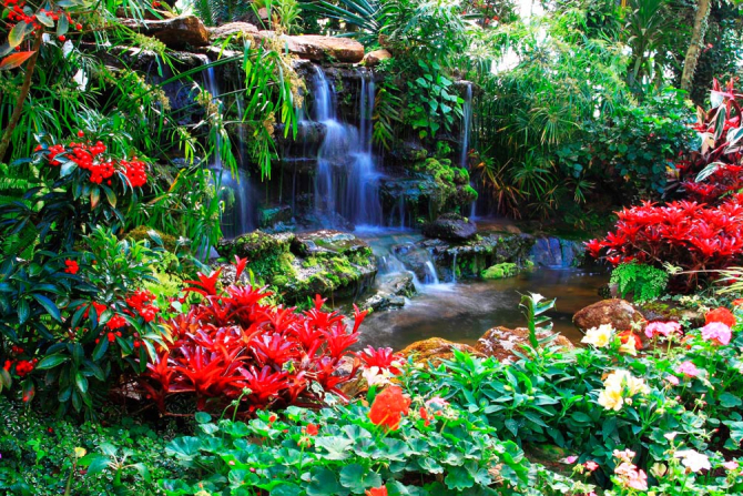 Фотошпалери Лісова історія