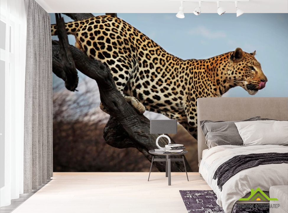 выбрать Фотообои Охотящийся гепард Фотообои Гепарды на стену