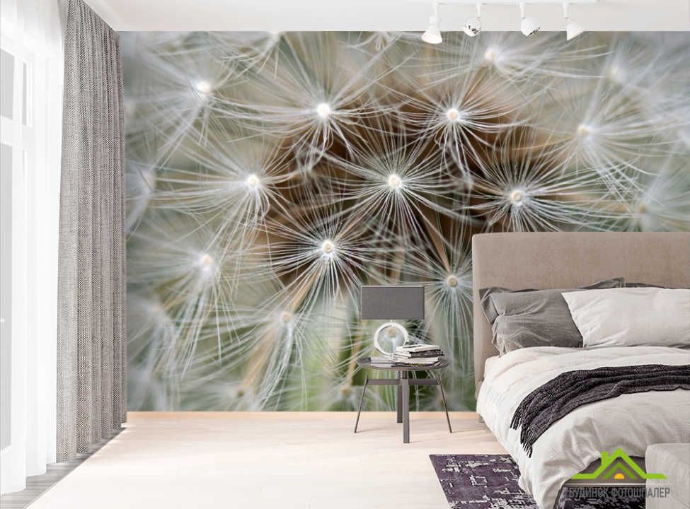 выбрать Фотообои семена на одуванчике Фотообои Одуванчики на стену