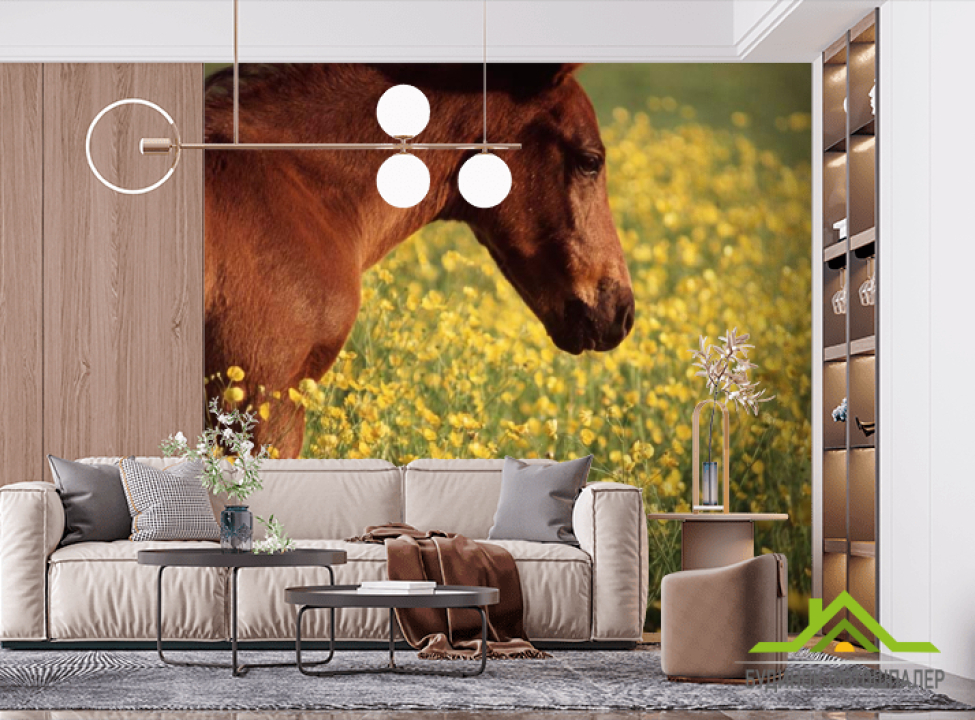 выбрать Фотообои Конь на лугу Фотообои Лошади на стену