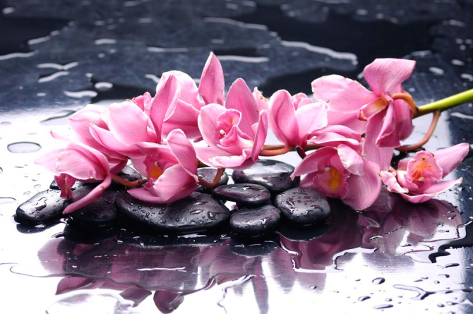 Фотообои Сиреневые цветы и камни