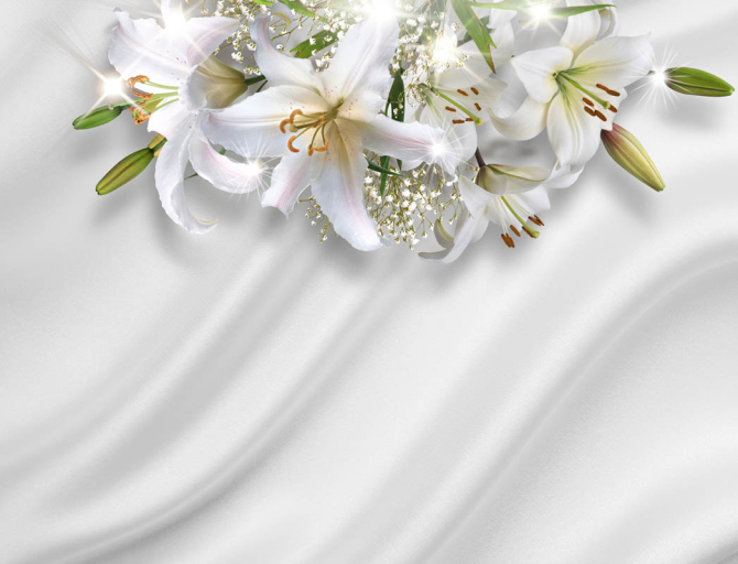 Фотошпалери Лілії на тлі атласу