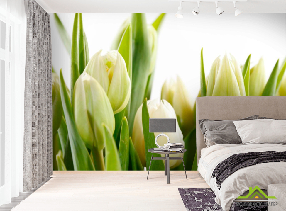 выбрать Фотообои Тюльпаны Фотообои Тюльпаны на стену