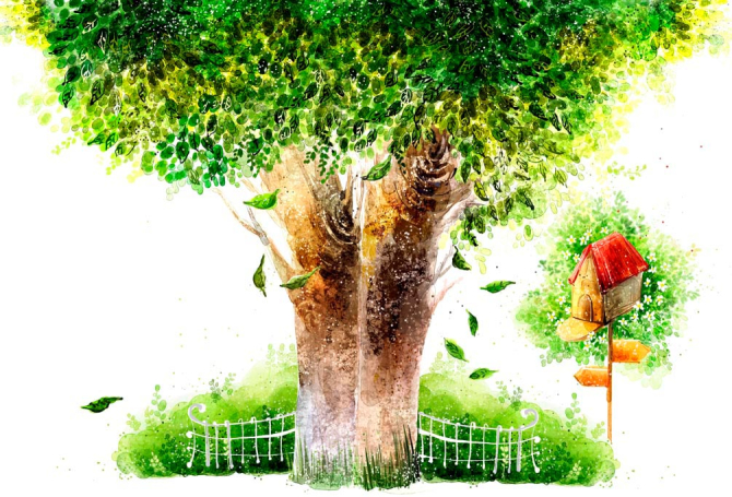 Фотообои Дерево