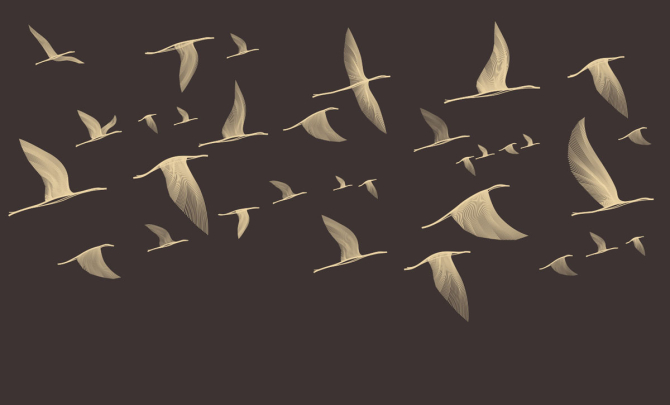 Фотошпалери птиці