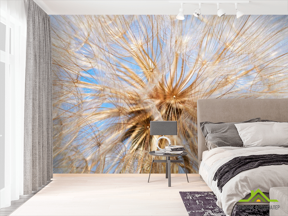 Фотошпалери Кульбаба