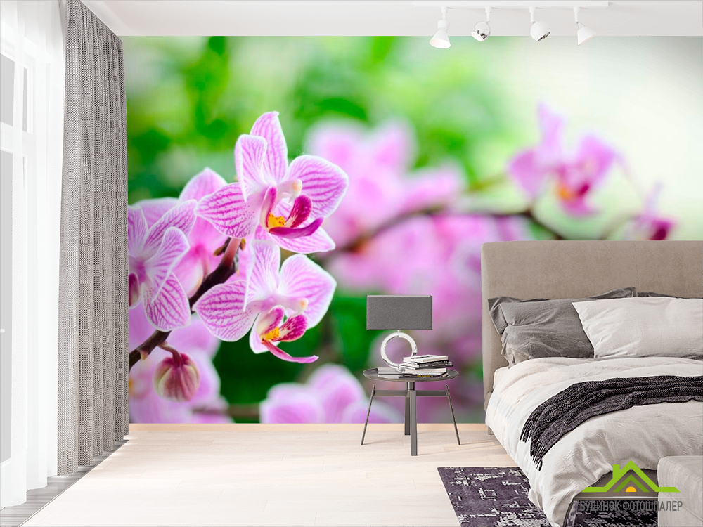 Фотообои Орхидеи сиреневые цветут