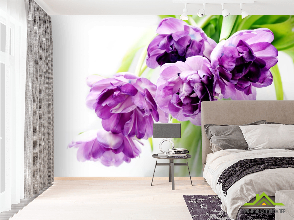 Фотошпалери великі бузкові квіти